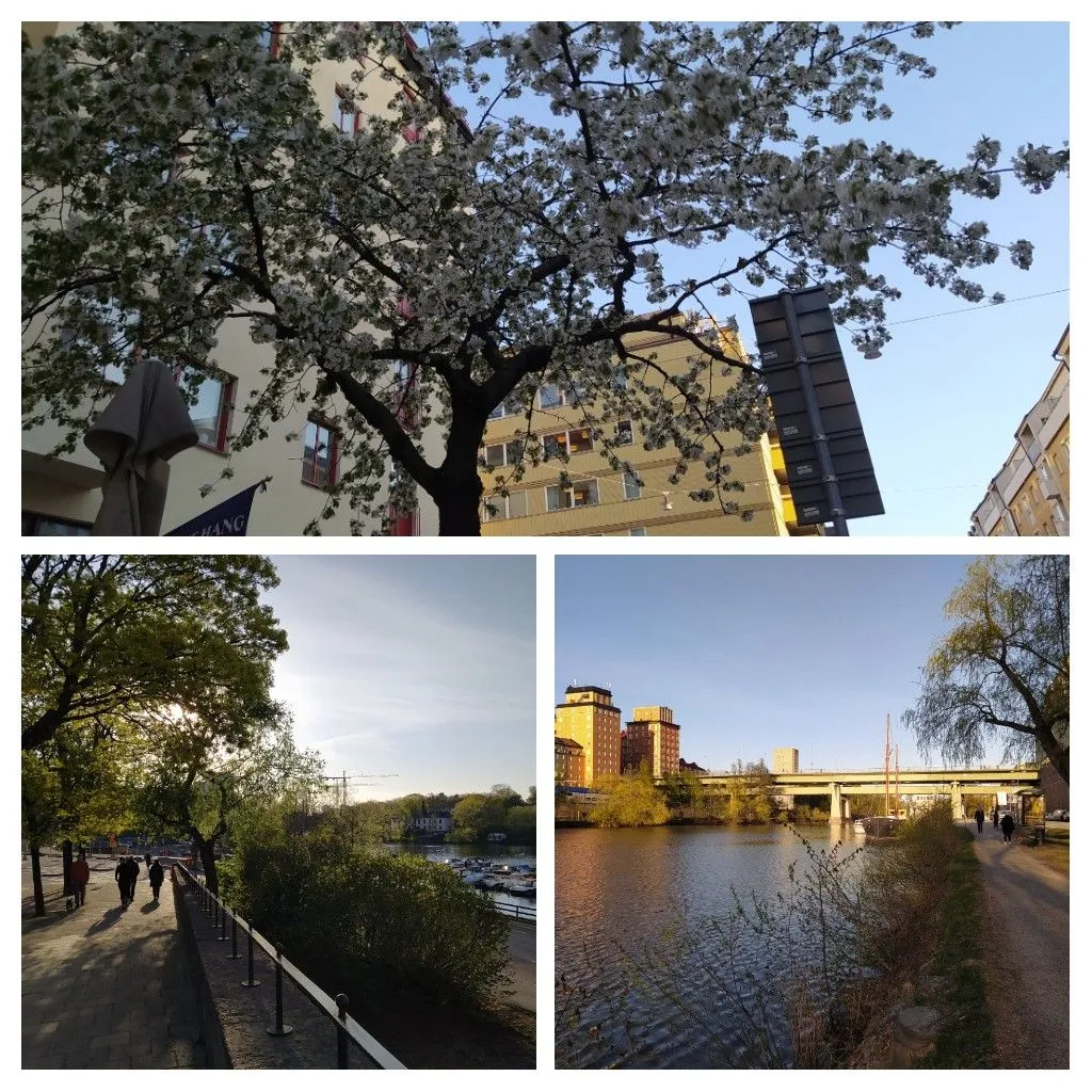 20220510_181604-COLLAGE.jpg