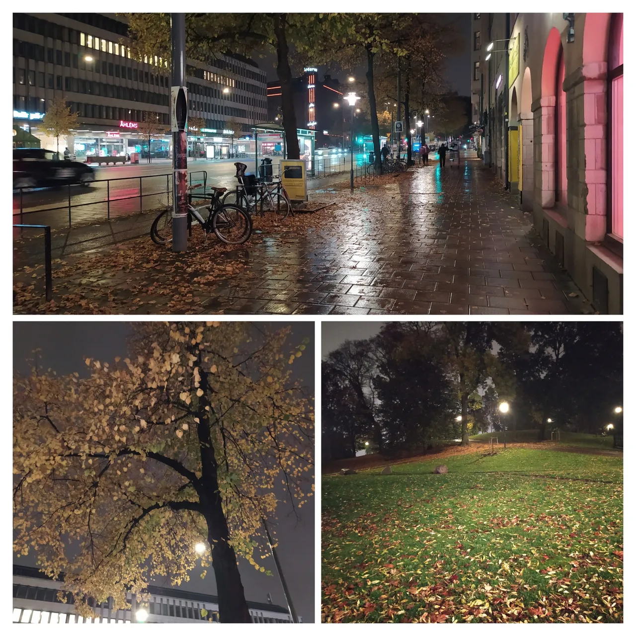 20221016_220755-COLLAGE.jpg