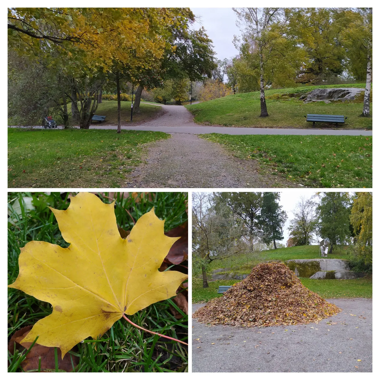 20231026_174641-COLLAGE.jpg