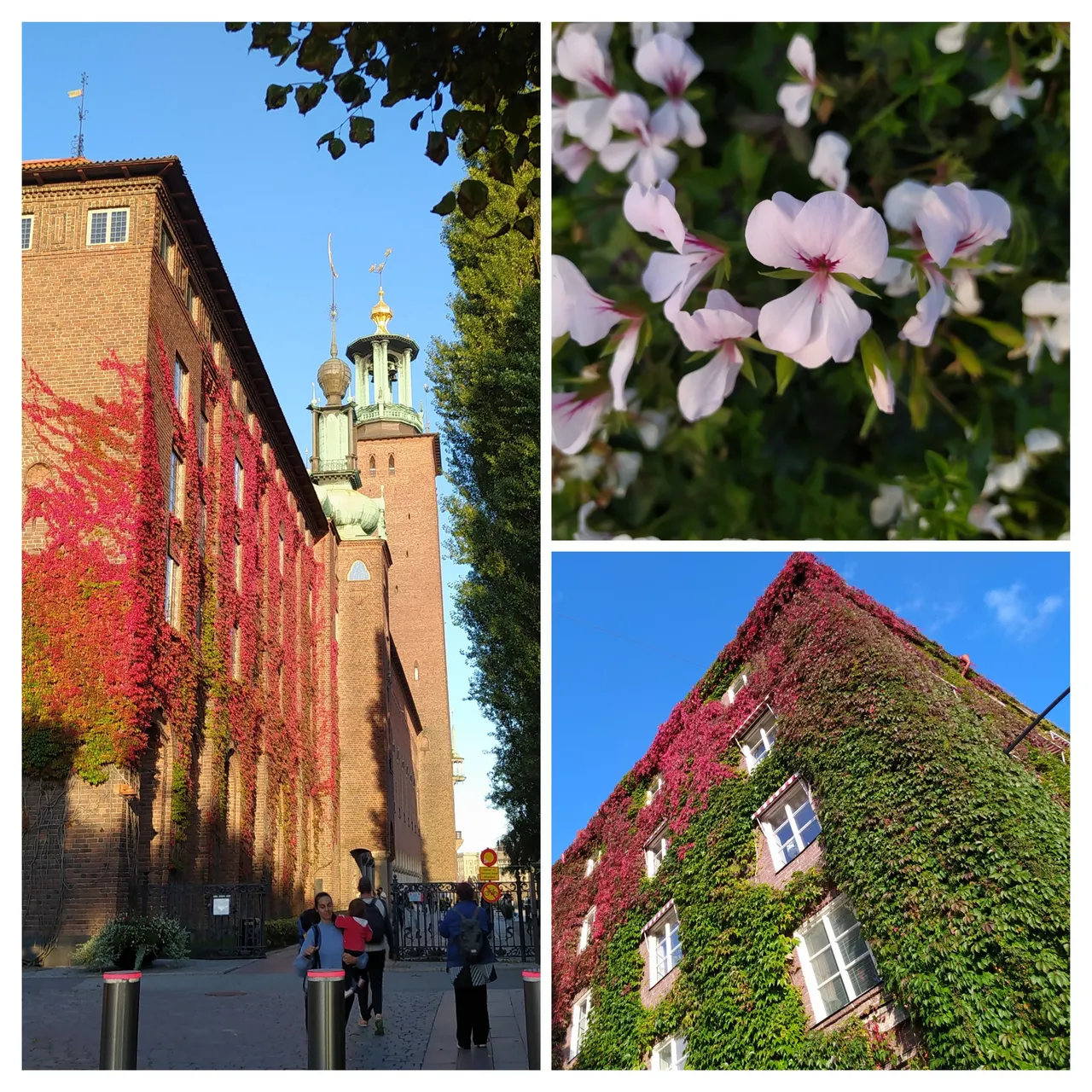20230924_143055-COLLAGE.jpg