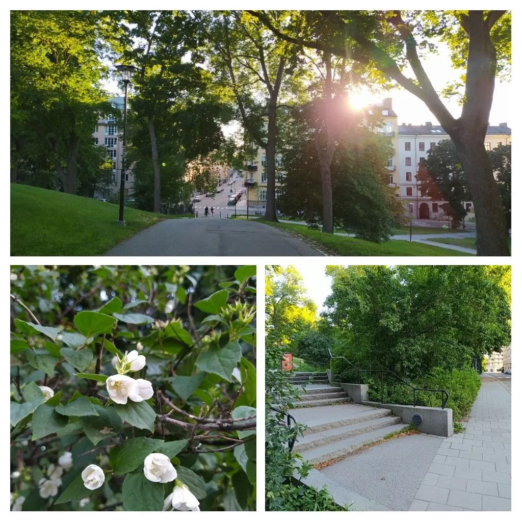 20220706_153407-COLLAGE.jpg