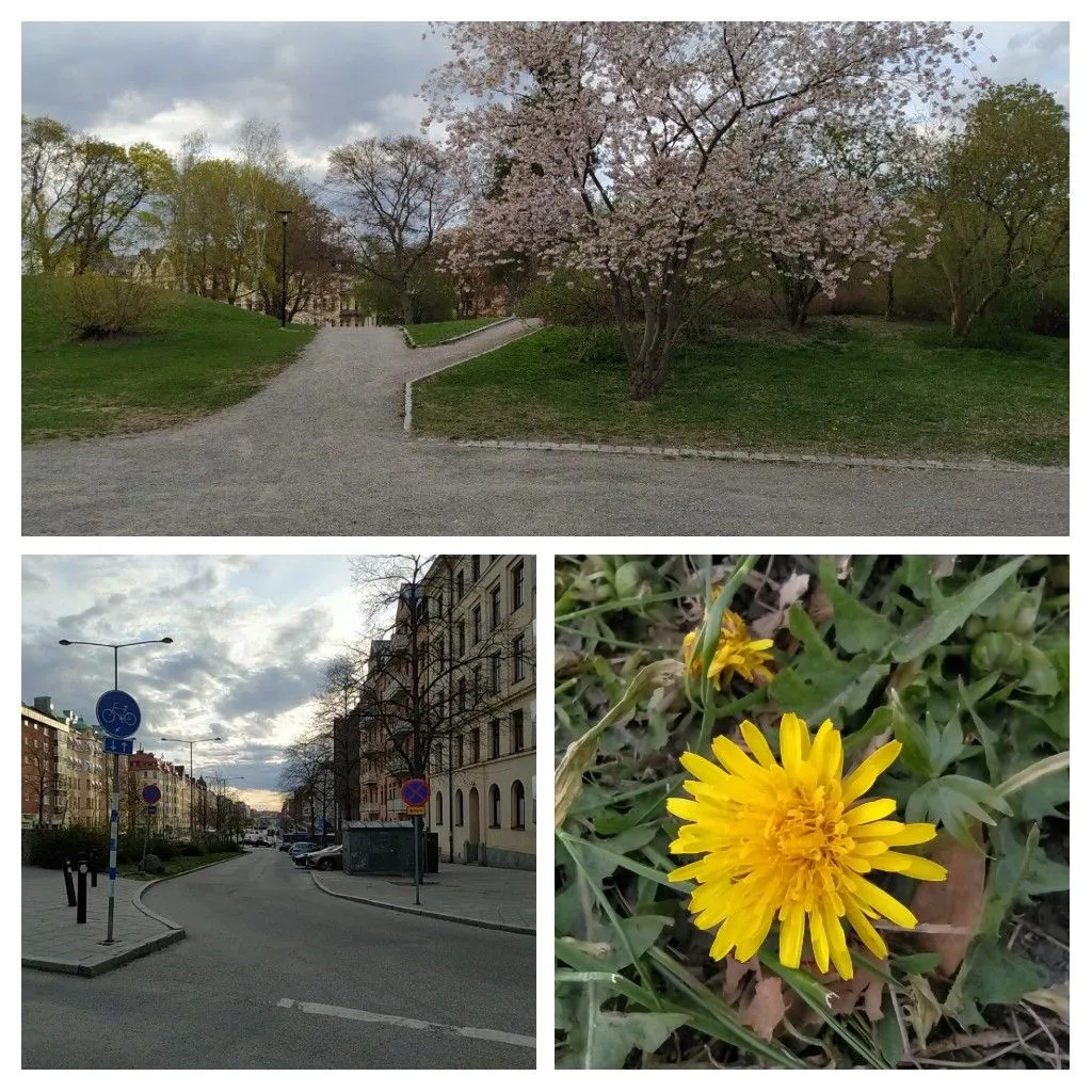 20220503_151248-COLLAGE.jpg