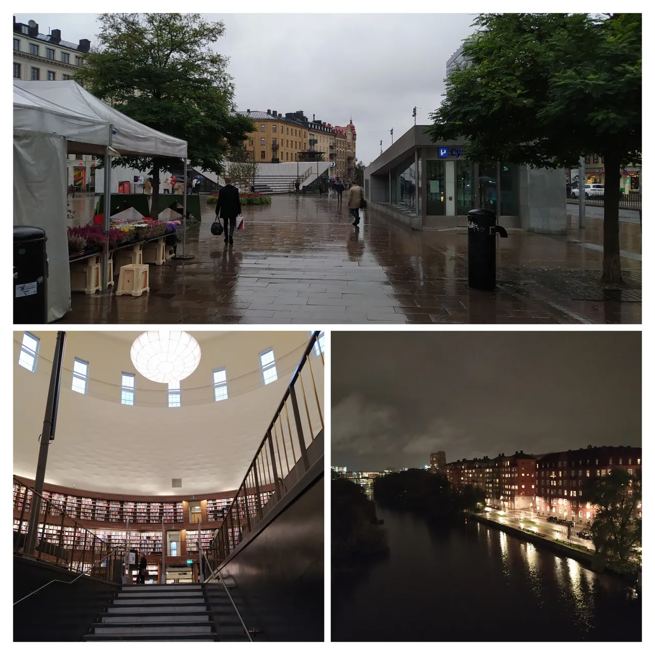 20231004_191808-COLLAGE.jpg