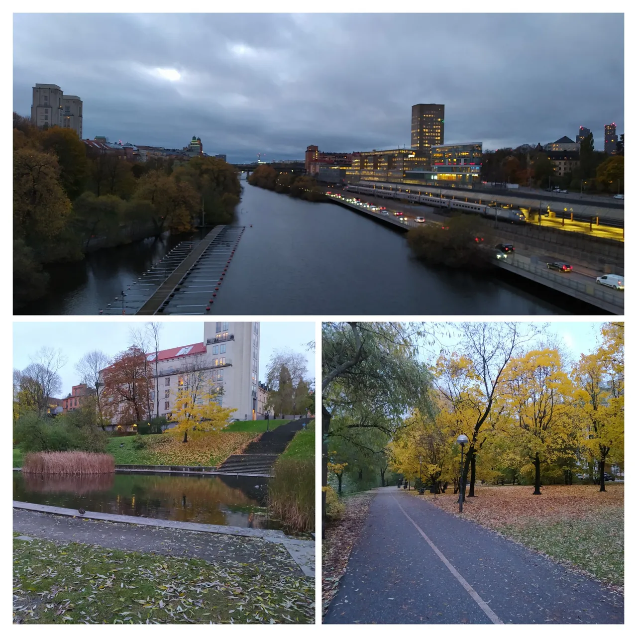20231102_144300-COLLAGE.jpg