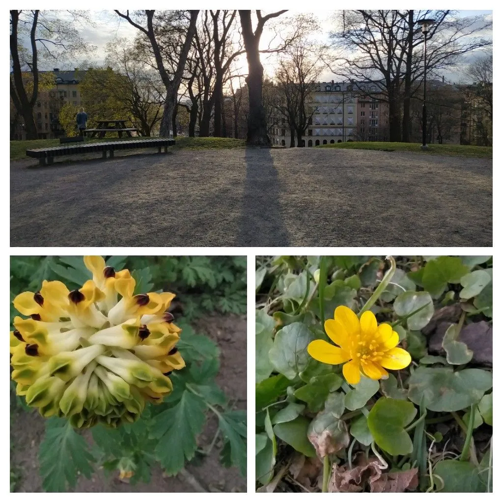 20220427_170721-COLLAGE.jpg