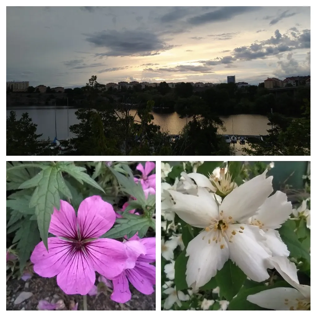 20220709_184820-COLLAGE.jpg