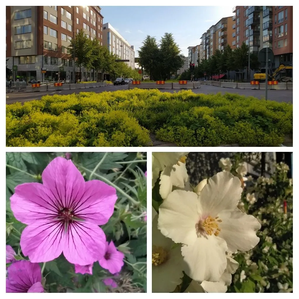 20220704_165011-COLLAGE.jpg