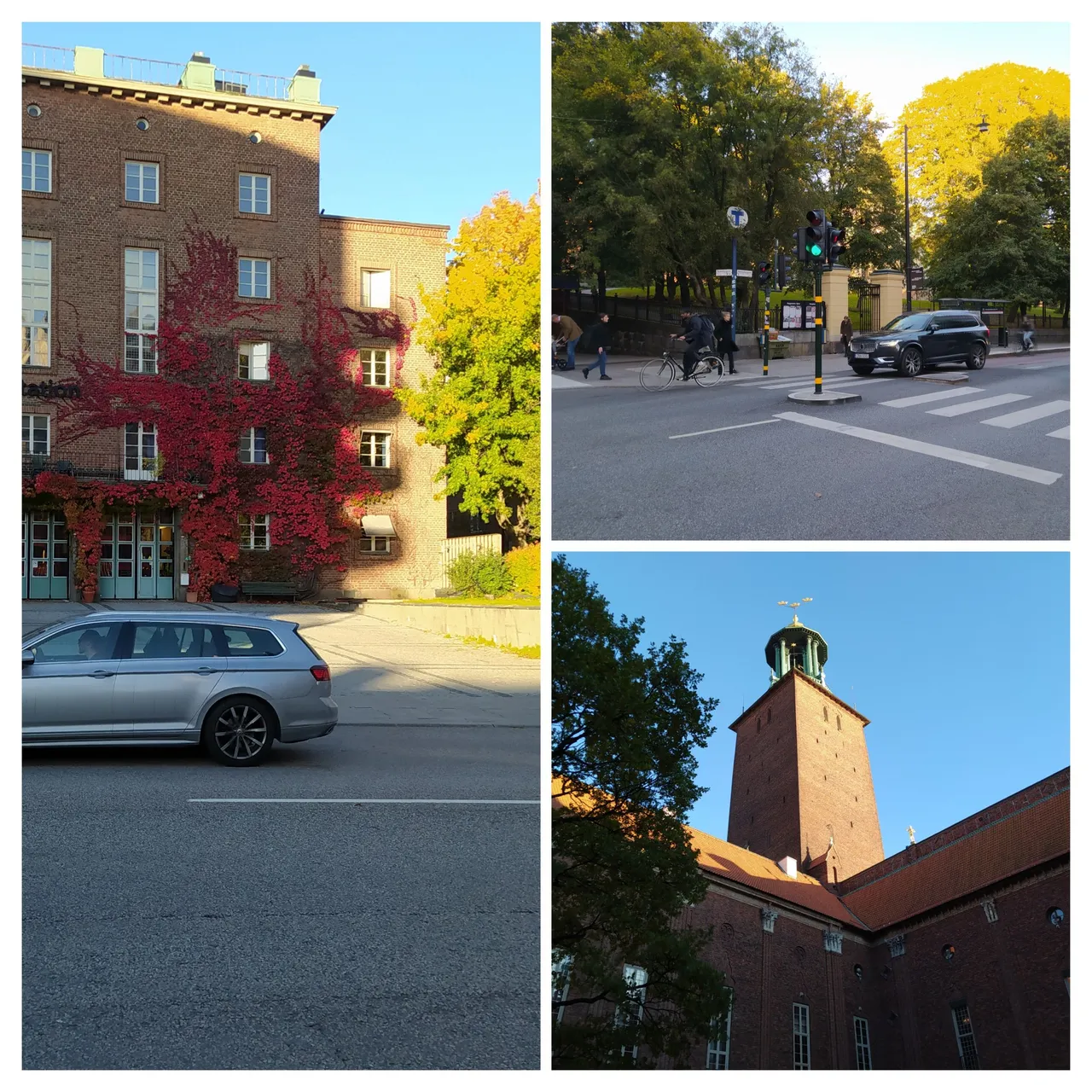 20231013_170648-COLLAGE.jpg