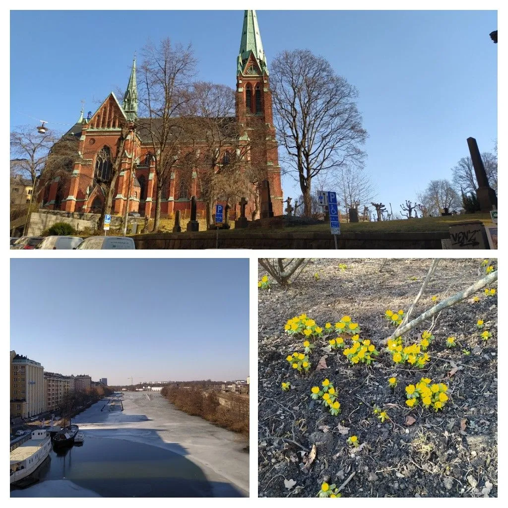 20220316_183453-COLLAGE.jpg