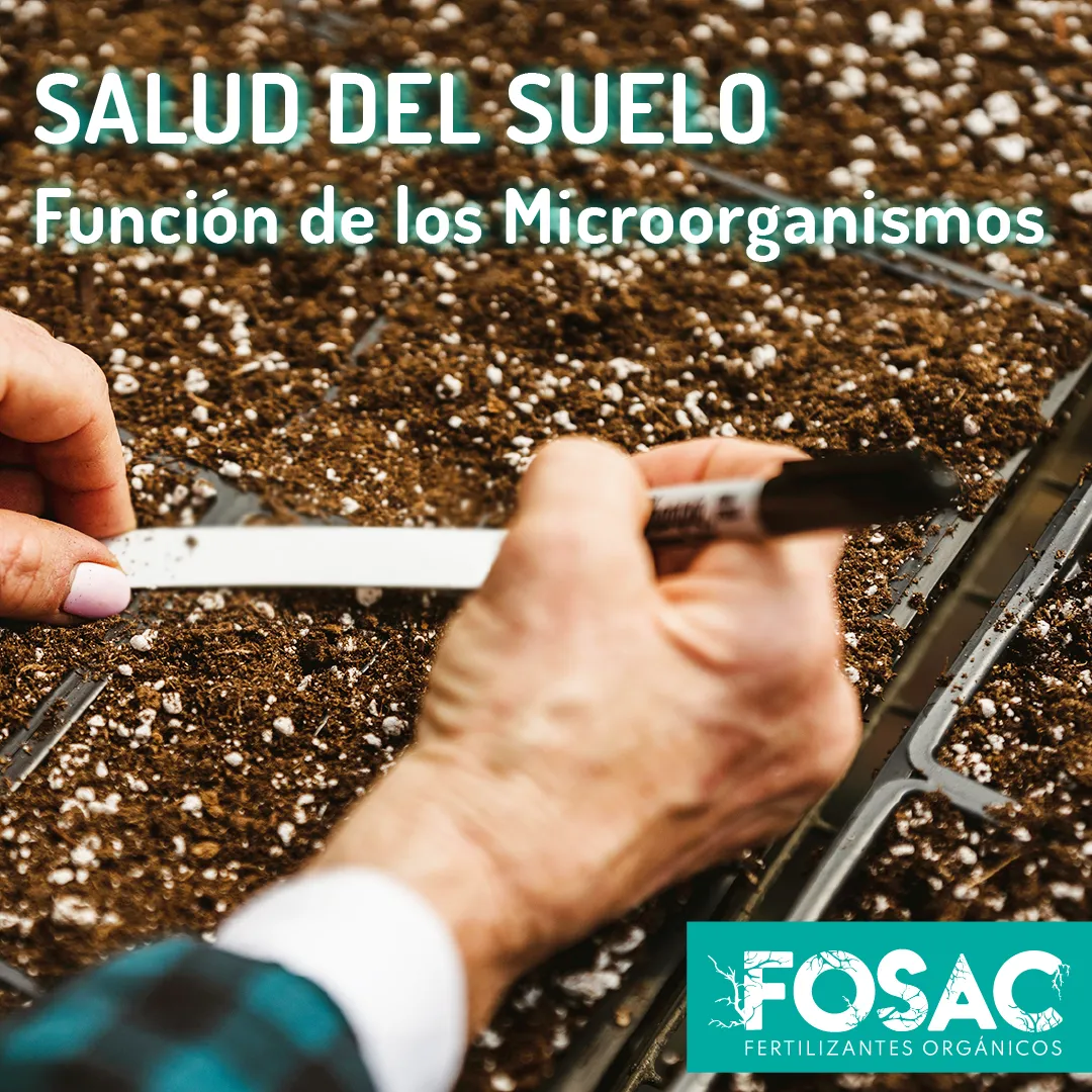 SALUD DEL SUELO_Mesa de trabajo 1 (1).png