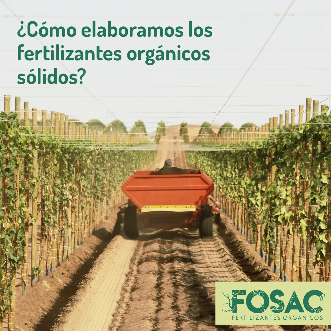 proceso de elaboración de fertilizantes sólidos_Mesa de trabajo 1 (1).png