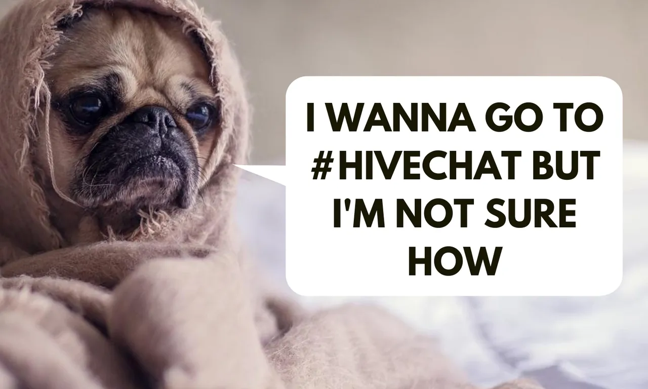 I wanna go to hivechat but I'm not sure how.png