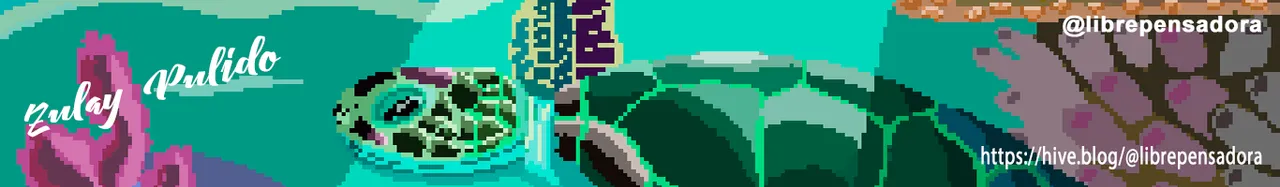 243_My_Pixelart_8_Tortuga_09092020_Cintillo.png