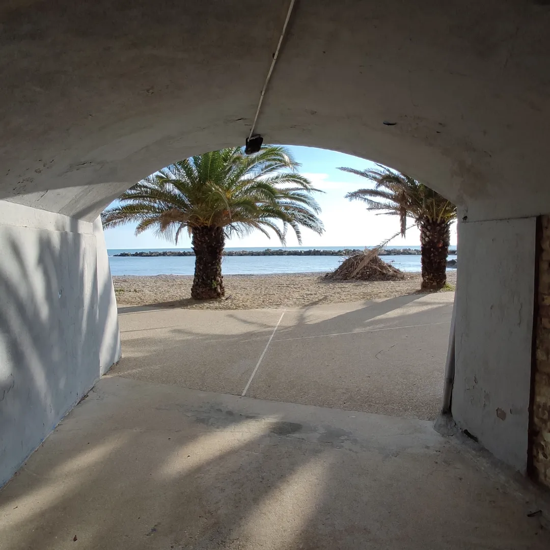 Tunnel con palma sole 1 (1).png