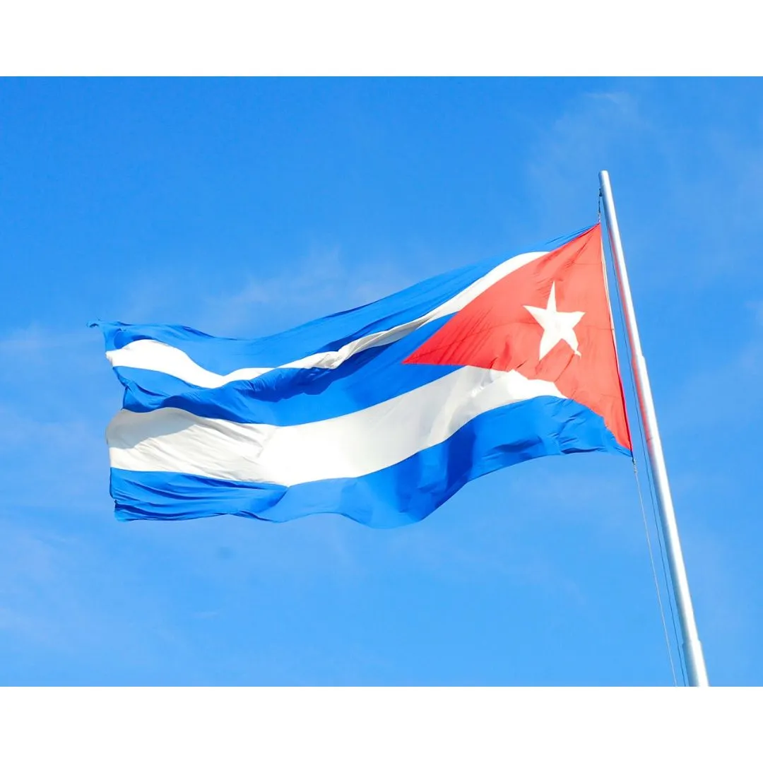 bandera.jpg