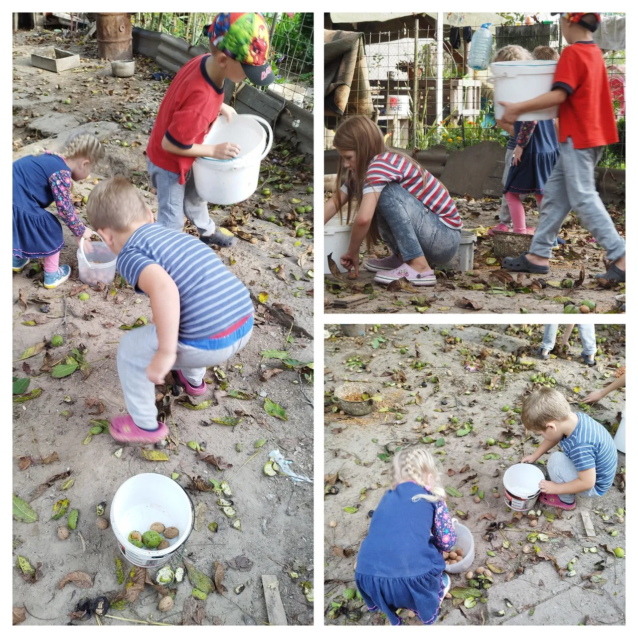 IMG_20230930_164142-COLLAGE.jpg