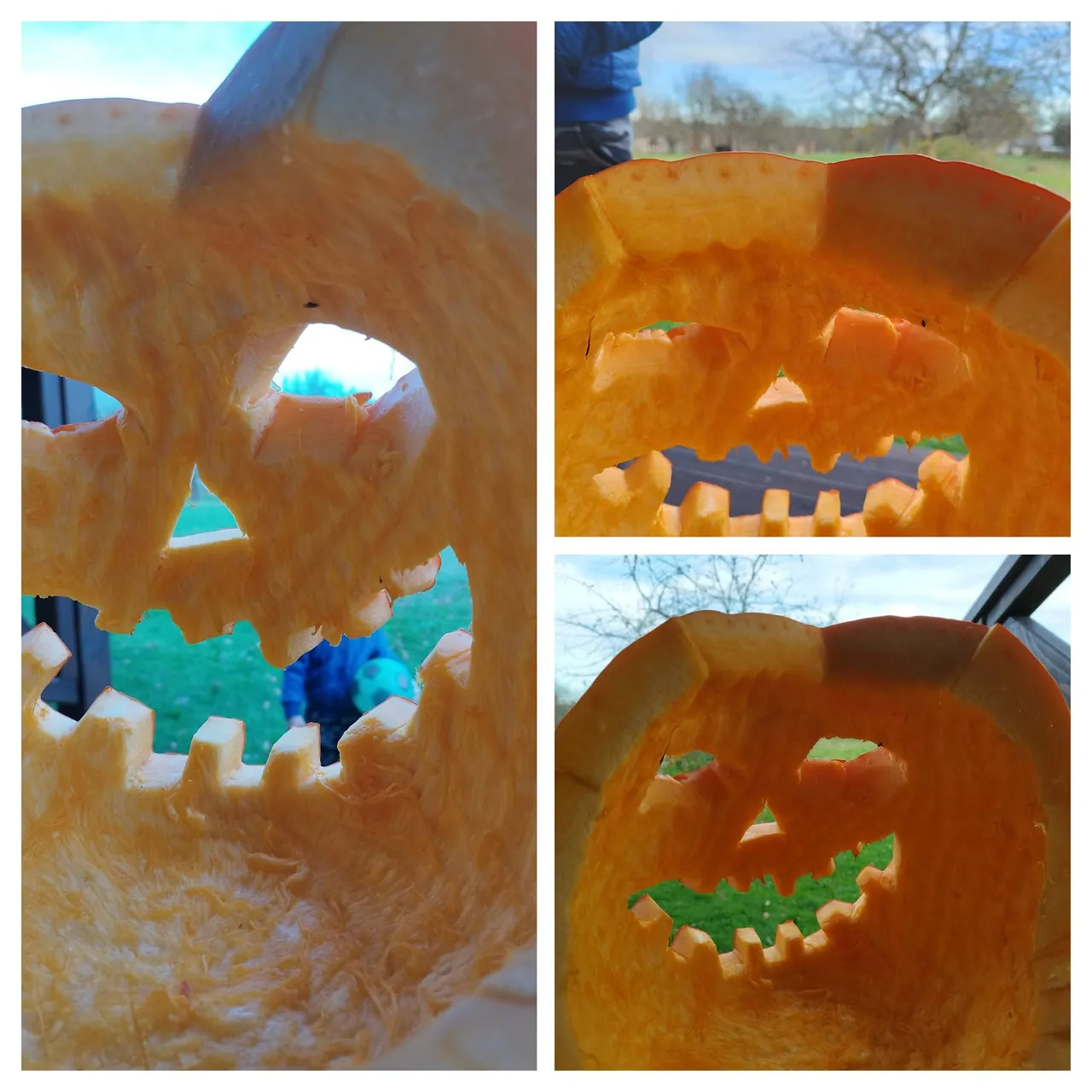 IMG_20231102_152034-COLLAGE.jpg