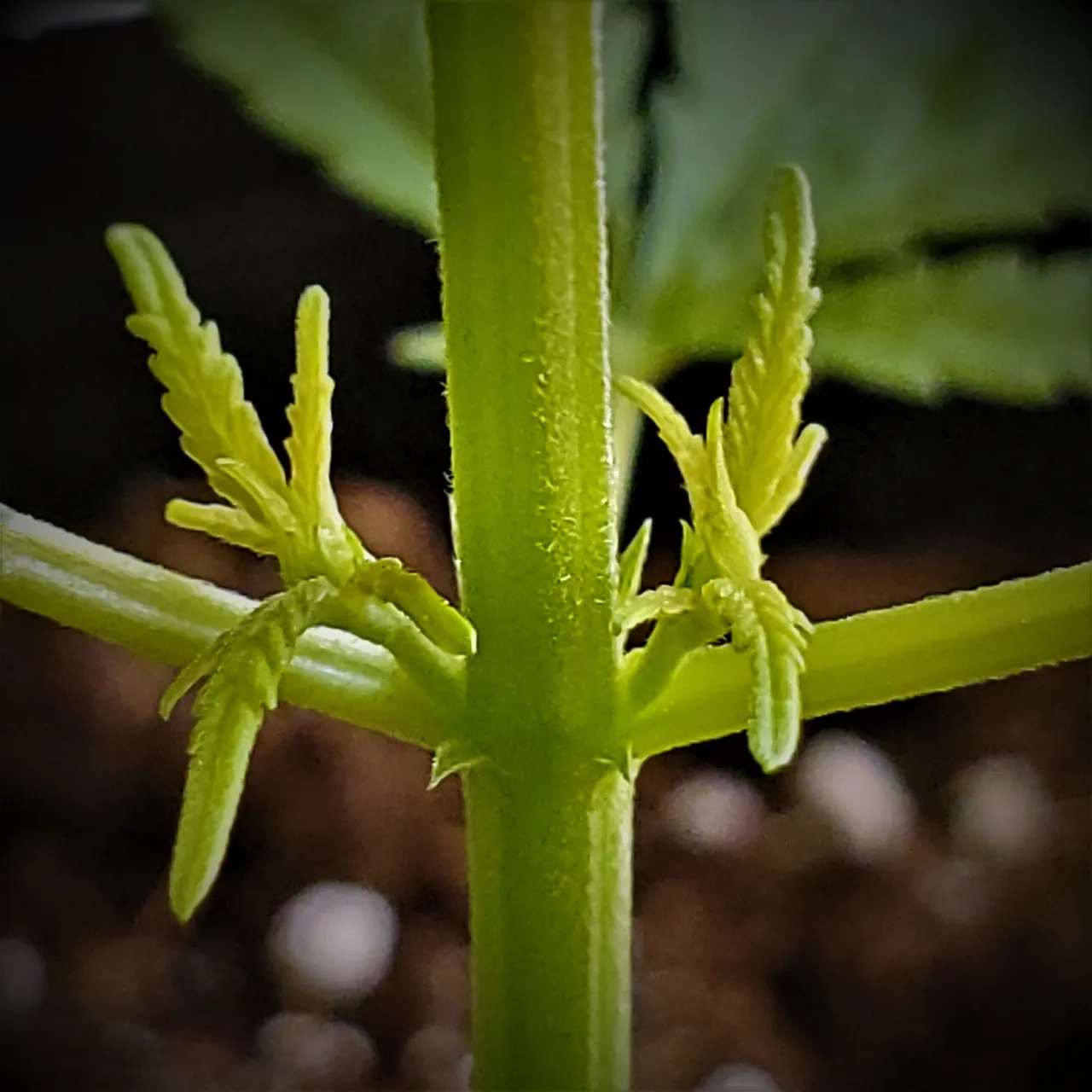 20220408_154510.jpg