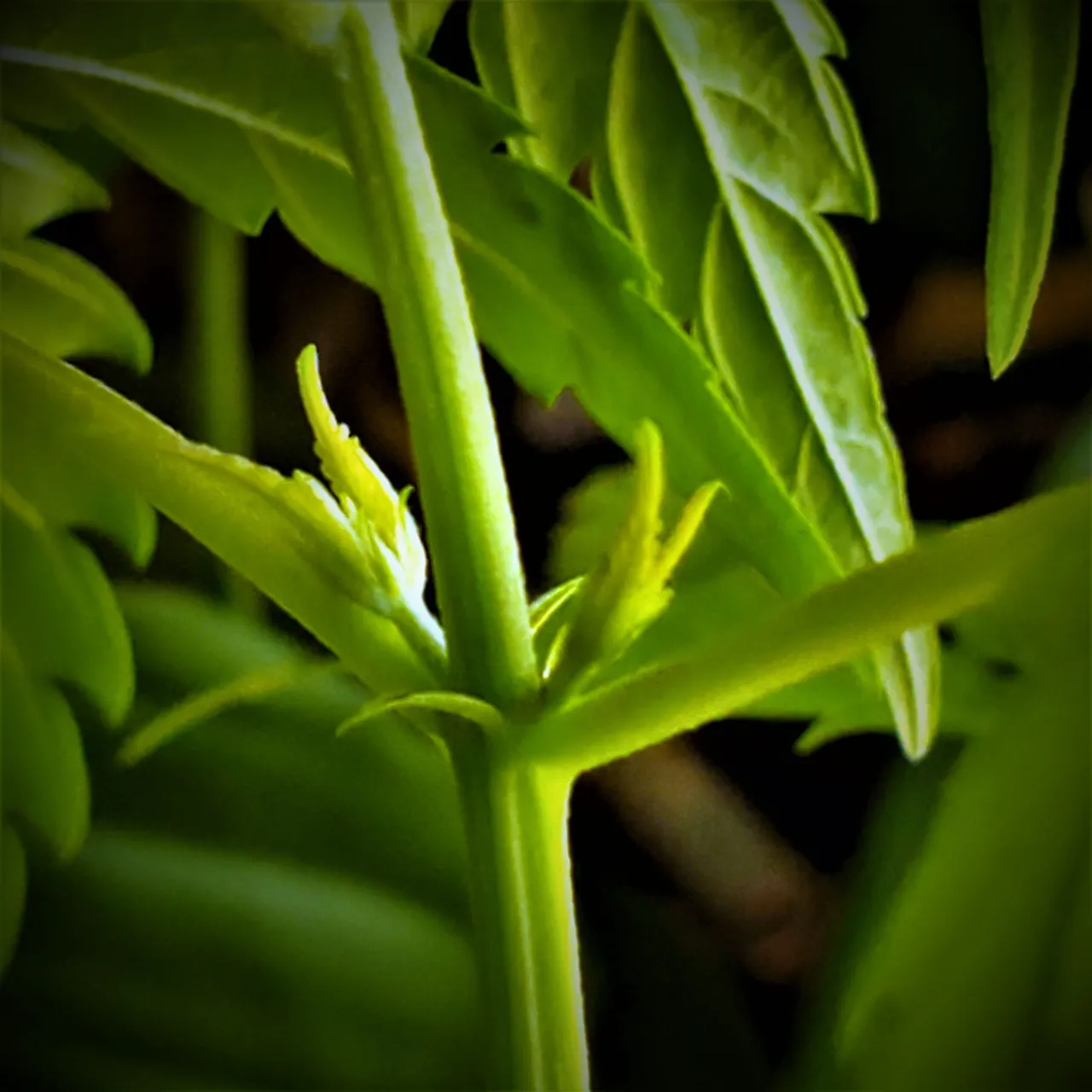 20220408_155057.jpg