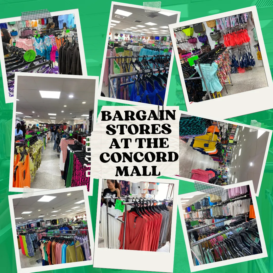 BARGAIN STORES AT THE CONCORD MALL.png