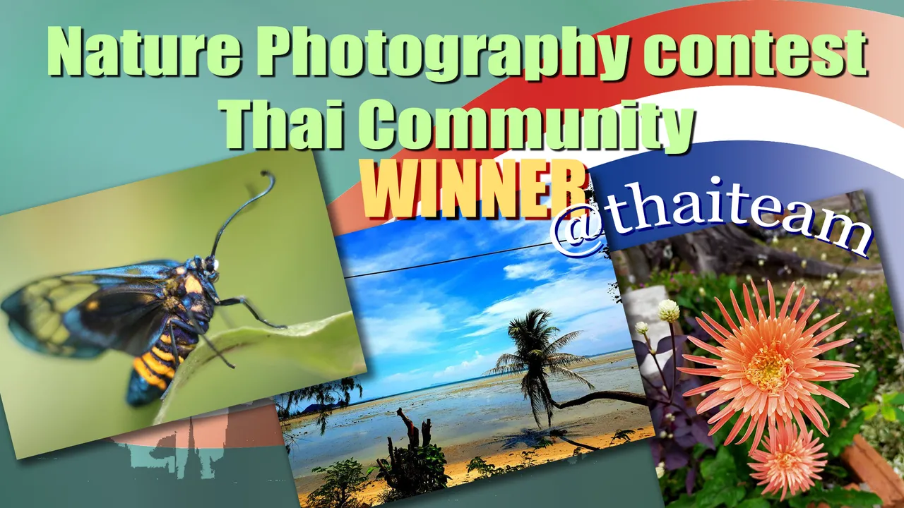 nature_photography_contest_winnersn.png
