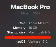 MacBookPro M1 Pro with 16 GB RAM