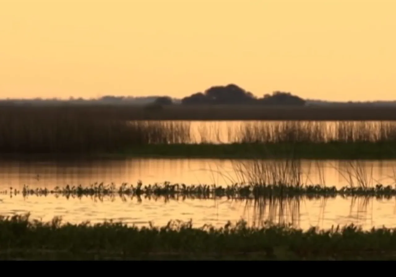 13.-Esteros-del-Iberà-atardecer.jpg