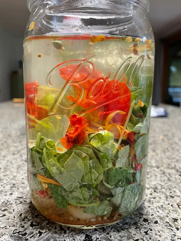 foodiesbeehive-naturtium-fermented-4.jpg
