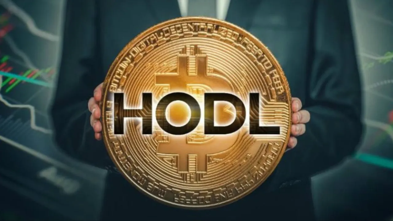 bitcoin-là-để-hodl.jpg