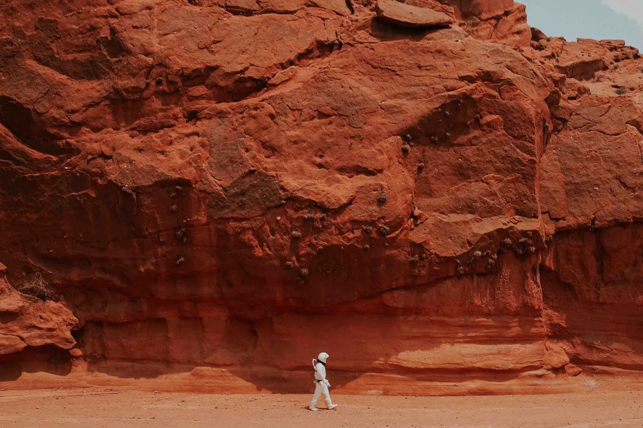 i-need-one-bitcoin-to-get-to-mars-02.jpg