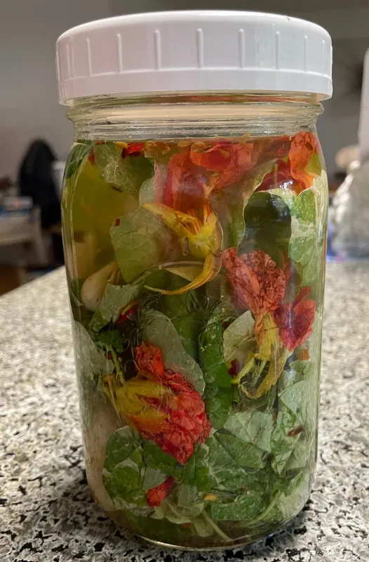 foodiesbeehive-naturtium-fermented-6.jpg