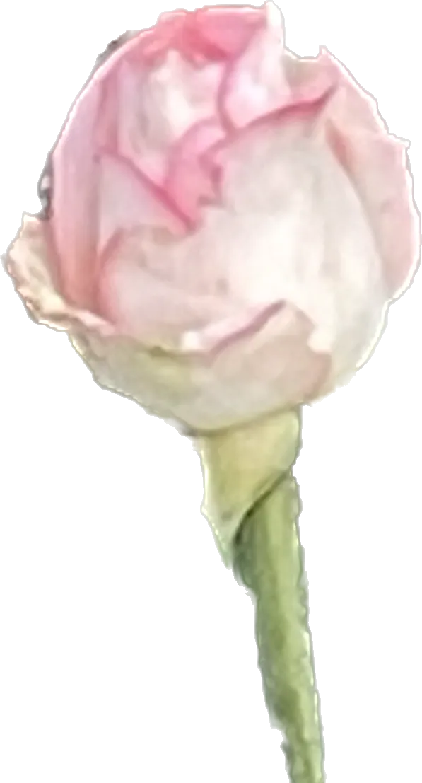 A3960181-EAF7-4DD3-856E-BA5FA6131C57.png