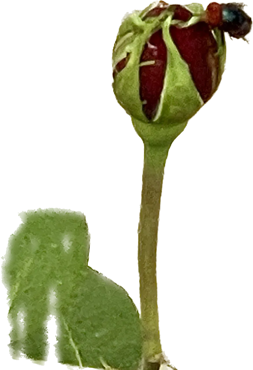 D9D81C89-F12B-479E-AA1D-DA8411B475C9.png