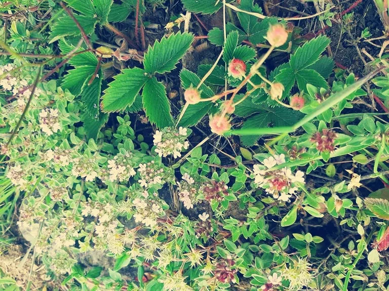 20250530_170911_edit_354058209156909.jpg
