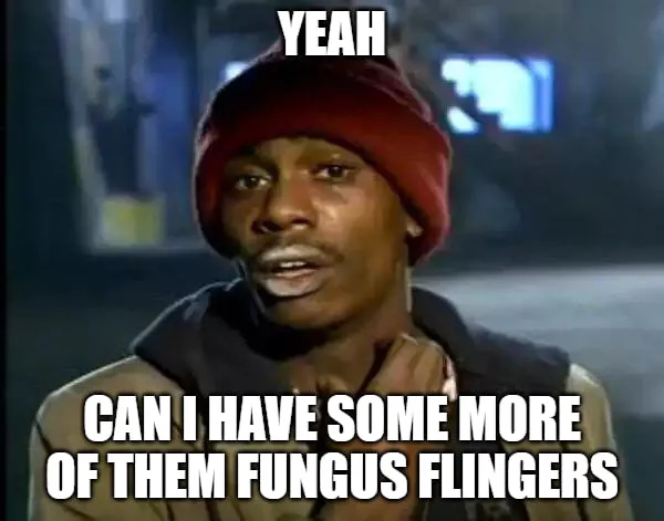 canihavesomemoreofthemfungusflingers.jpg