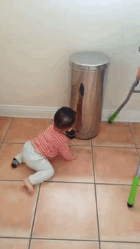 1FC02708-423C-413B-A088-CFB5B9C03CD8.gif