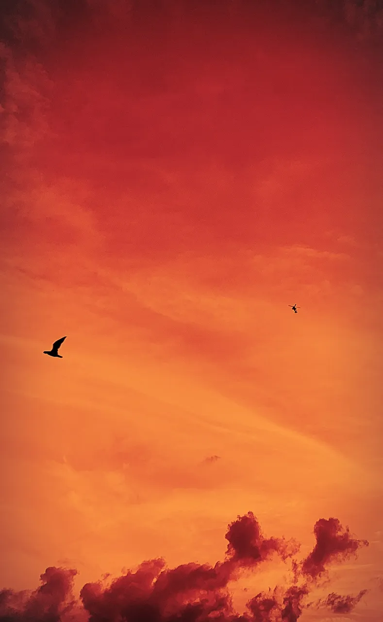 BA86C07D-E28C-4F6B-8A57-0F4154676EA5.JPG