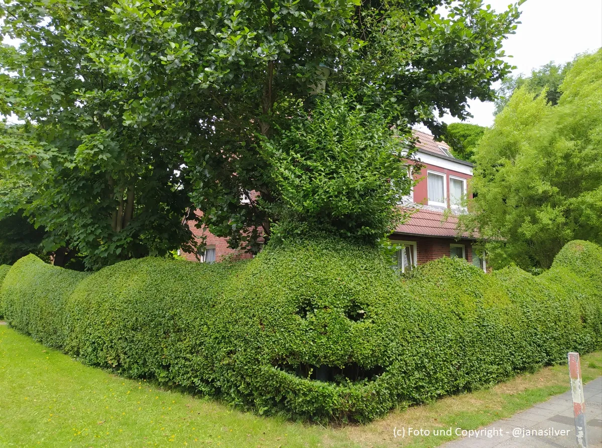 Grüne Hecke Langeoog 2021.jpg