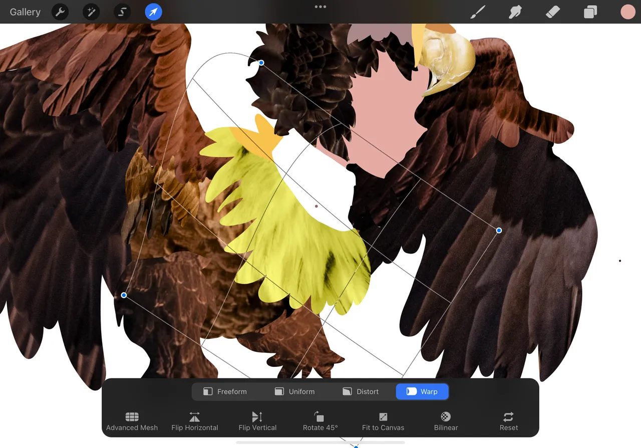 3A4D557D-83B1-4DC5-8F79-4445AD96BE42.png