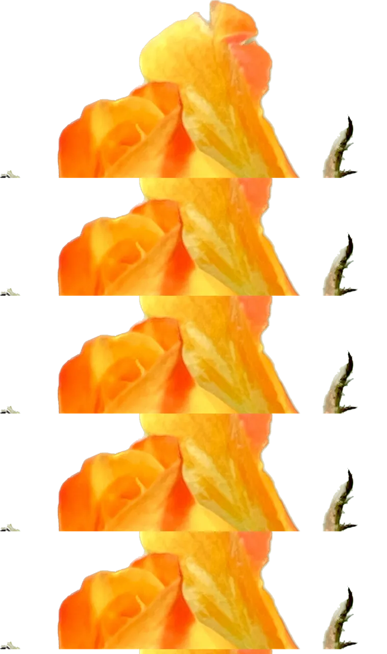 8E3FB634-DC01-4468-ABD5-0F6A3E4A3C6C.png