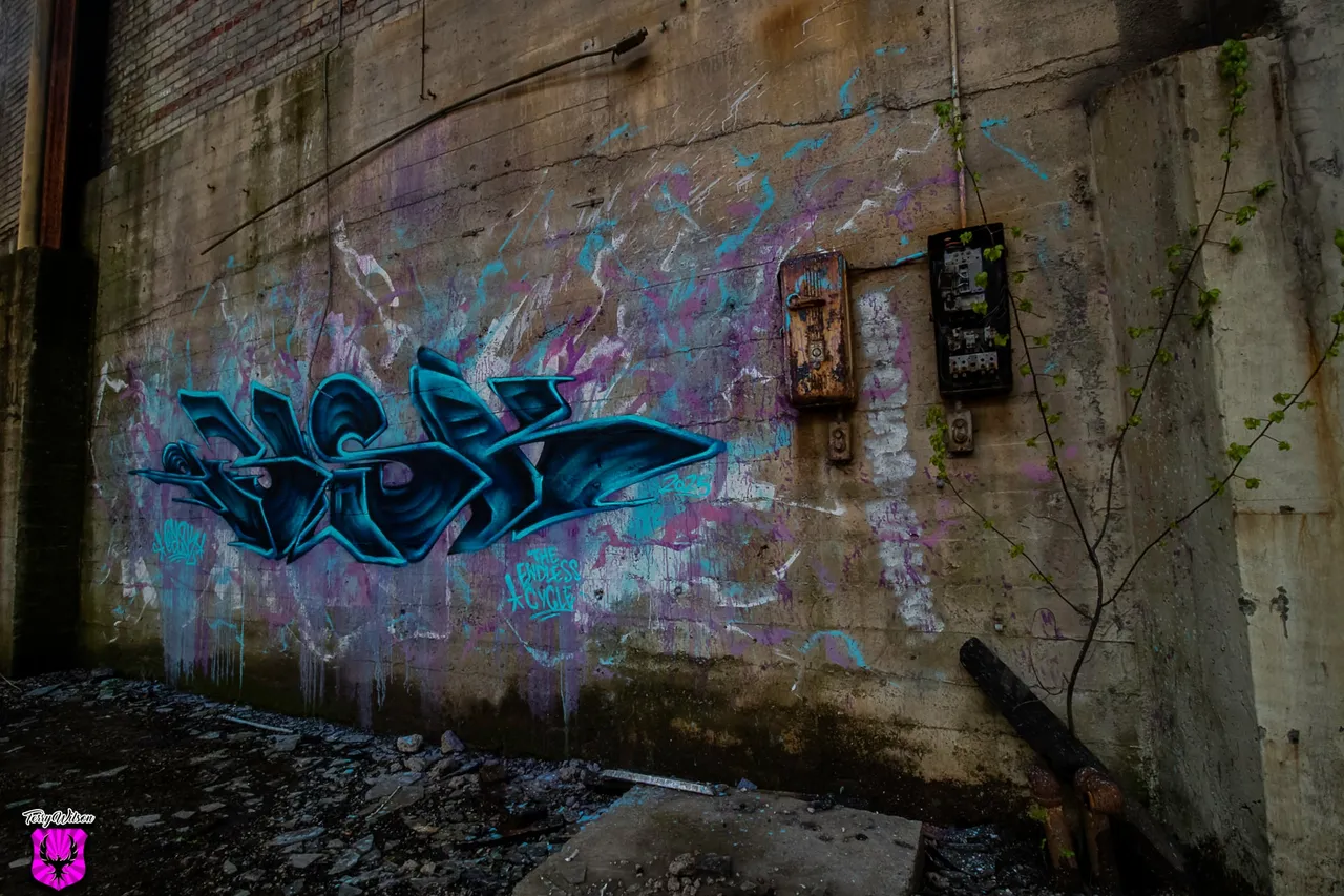 c7297af7-84ce-40e8-99b7-36f8460d0017.jpg