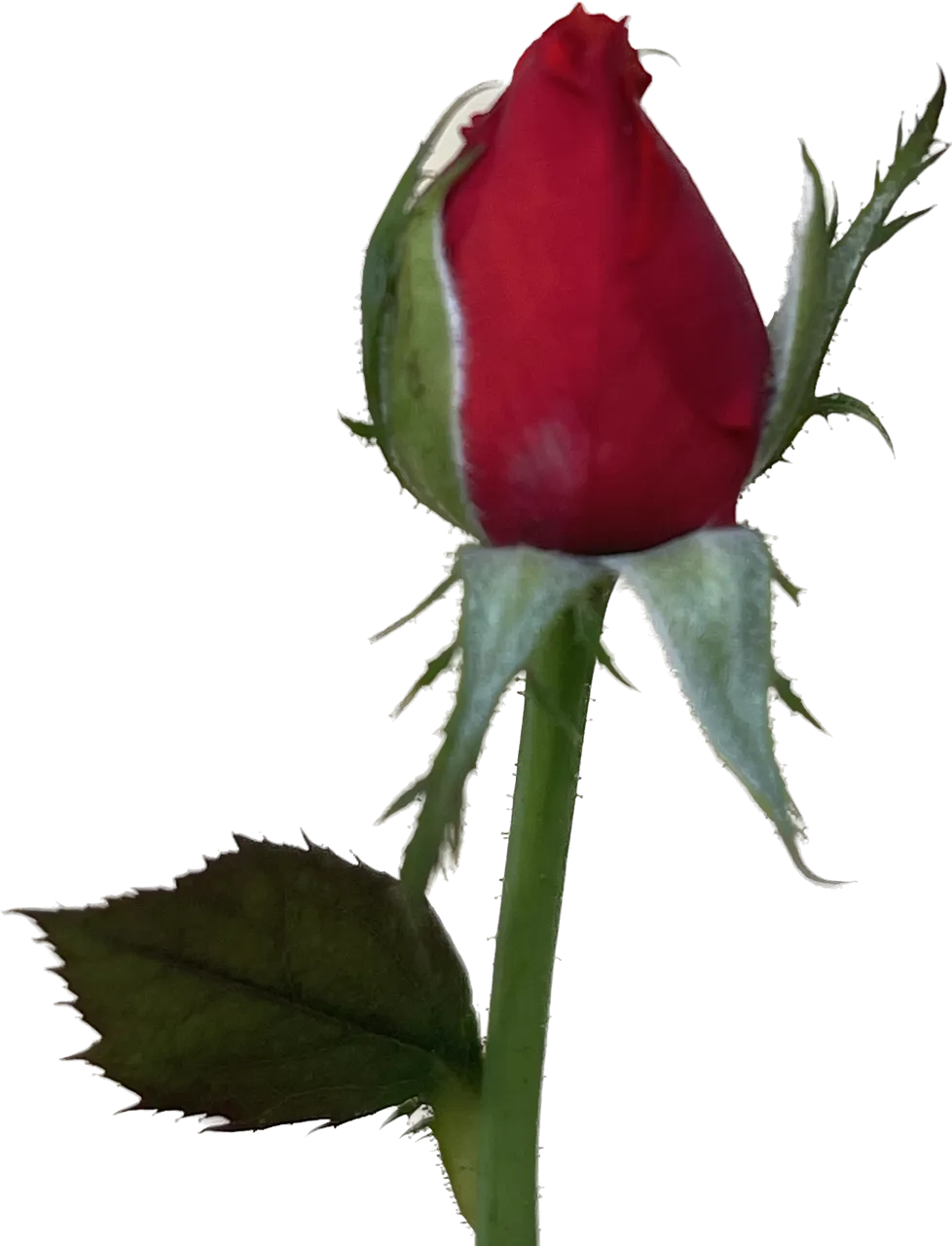 23D487B0-8575-4BC9-9D22-401063C4CF68.png