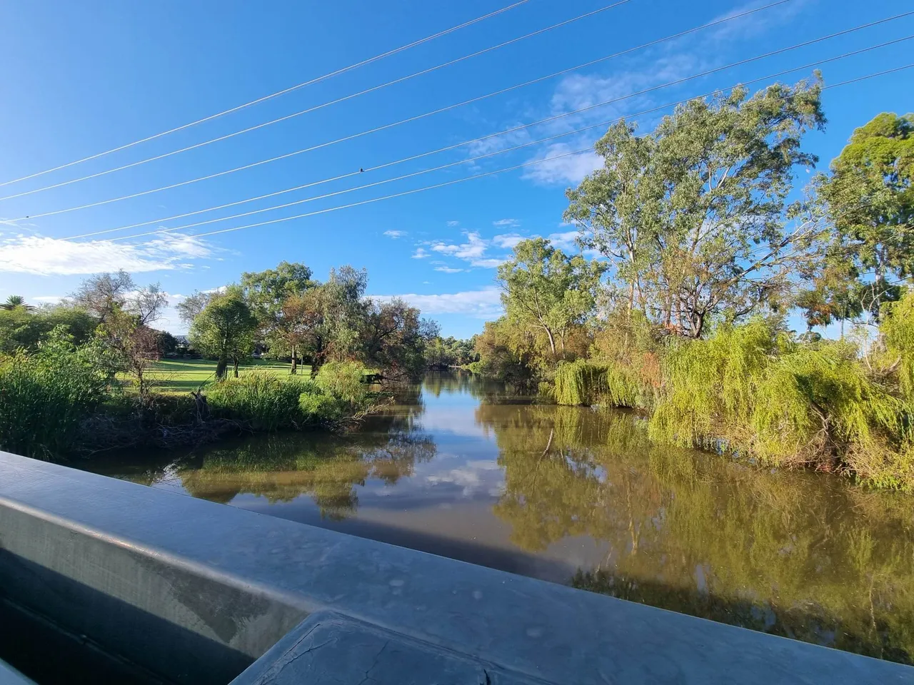 This was the sort of view we had as we went over the bridges. In fact, we got lots of water views because those laps went along each side of the Myall Creek.