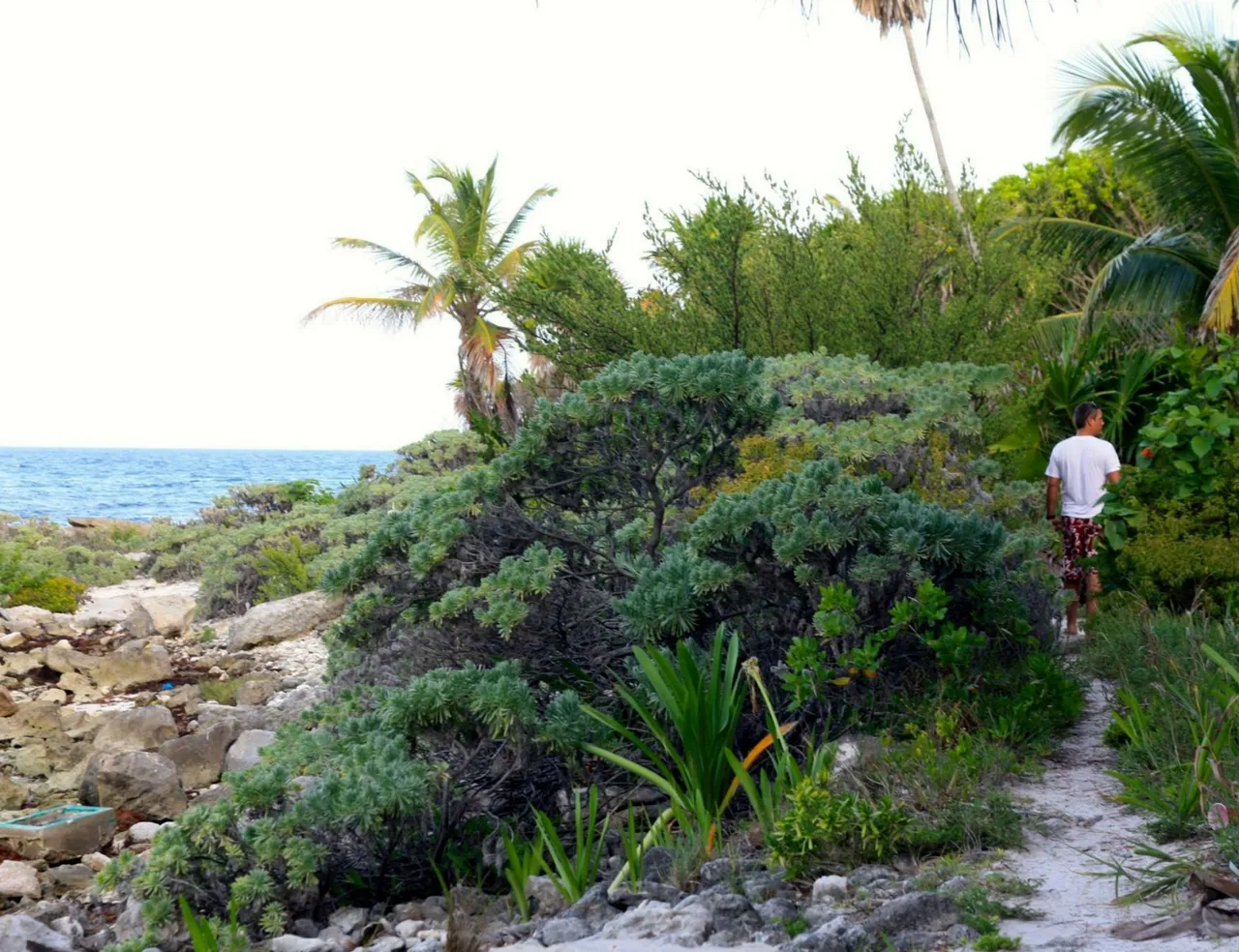xpuha tropical beach paradise.jpg