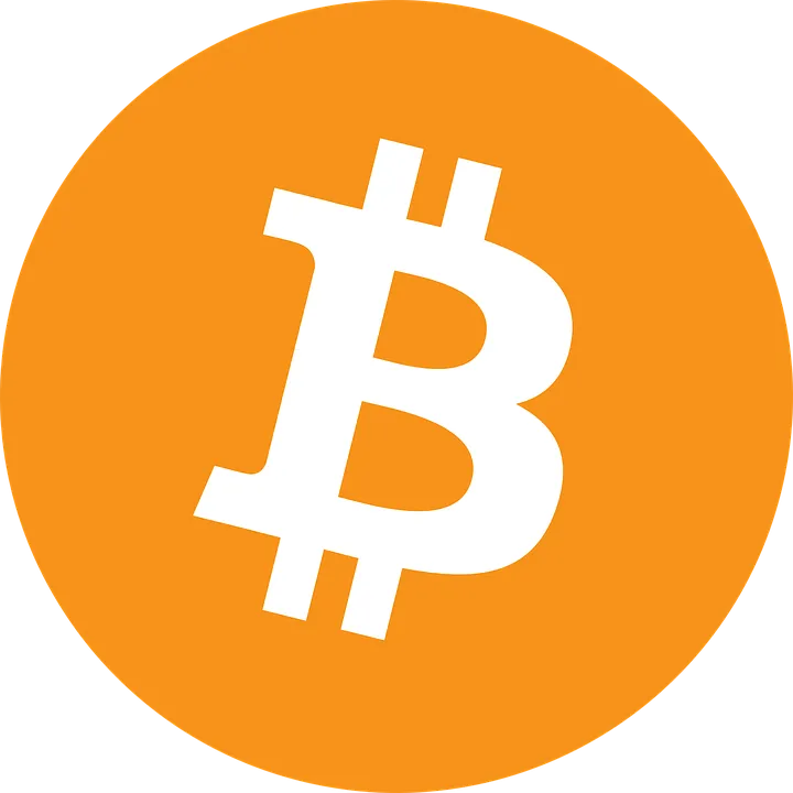 Bitcoin-Logo-Transparent-Background.png