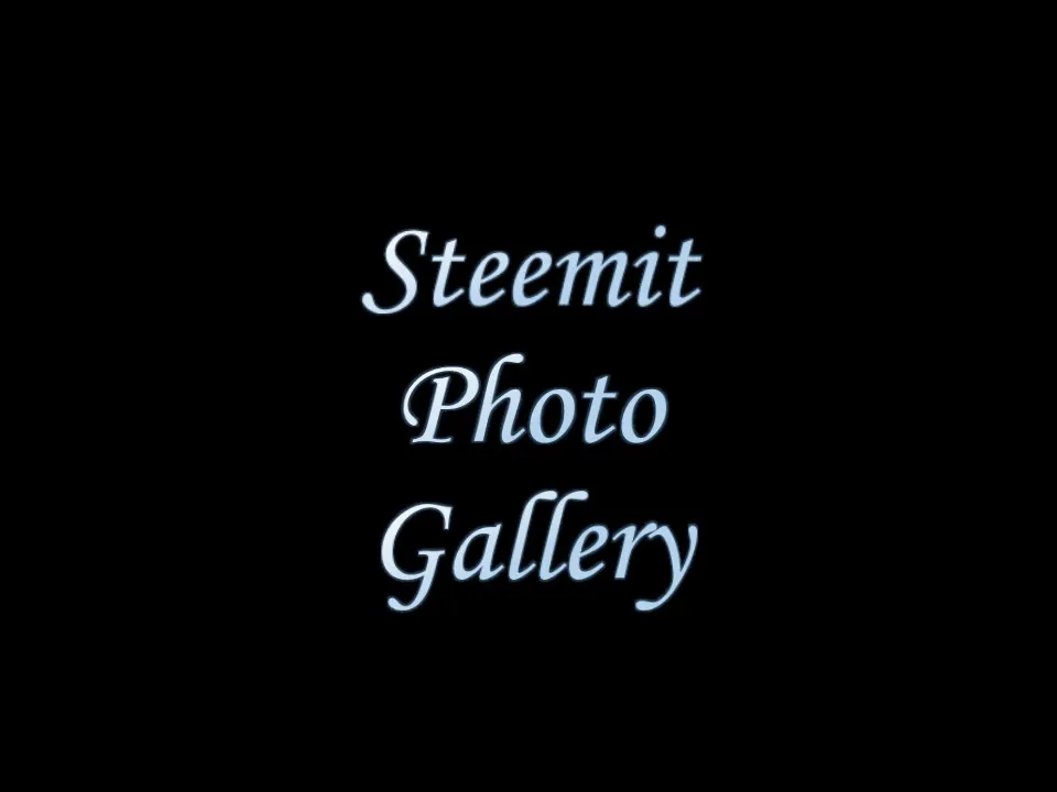 Steemit Photo Gallery profile.jpg