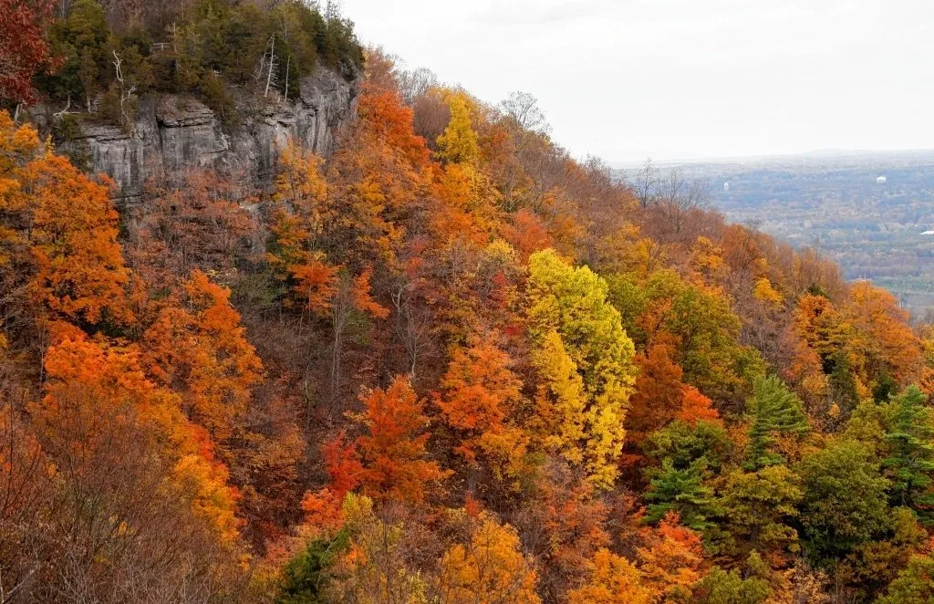 thacher-state-park-393e1dd6c4c90690.jpg