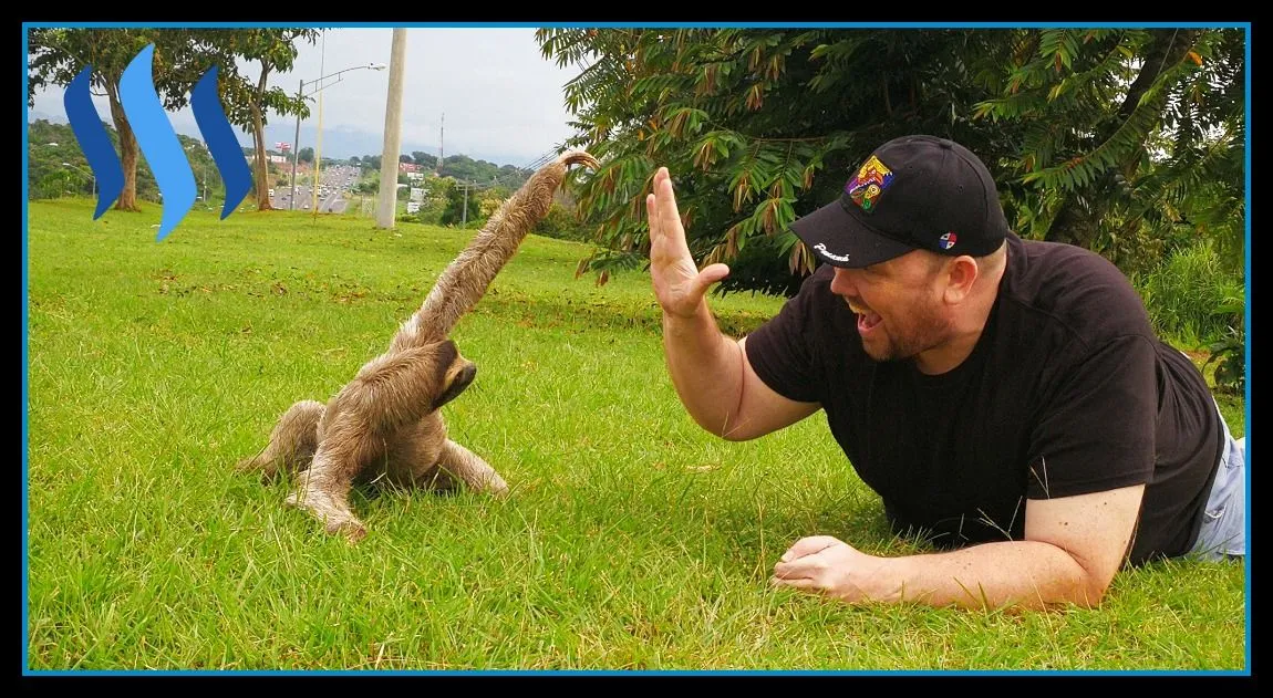 randy-hilarski-panama-sloth-steemit.jpg