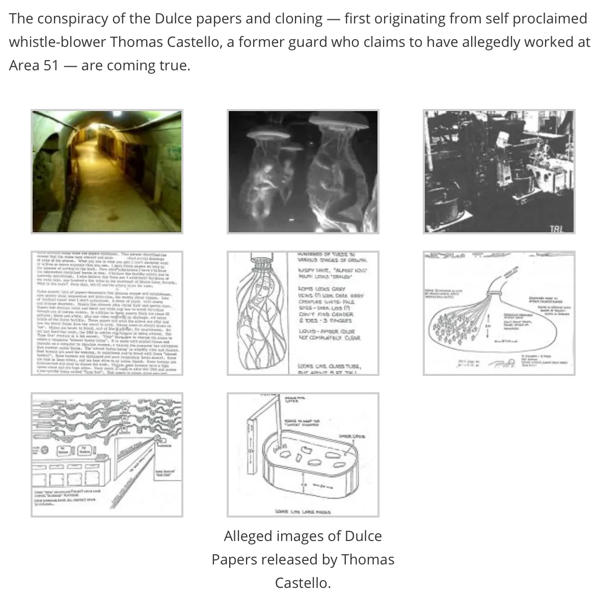 SS-anonknow-cloning-dulce project.png