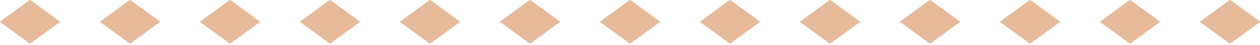 Horizontal Rhomb Big Orange Divider.png